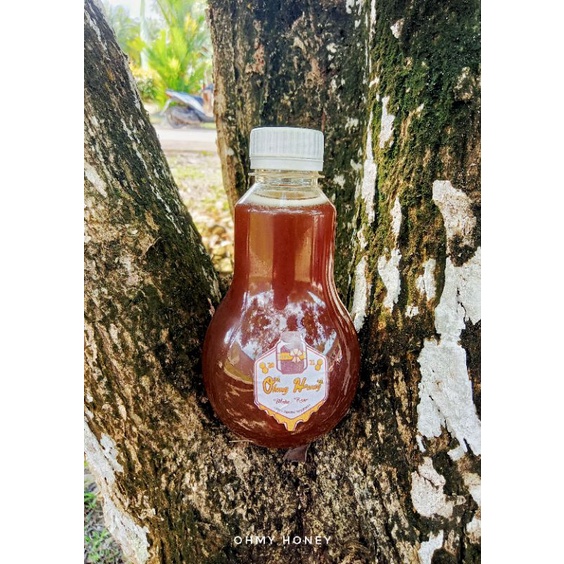 

Madu Trigona Kelanceng Kelulut