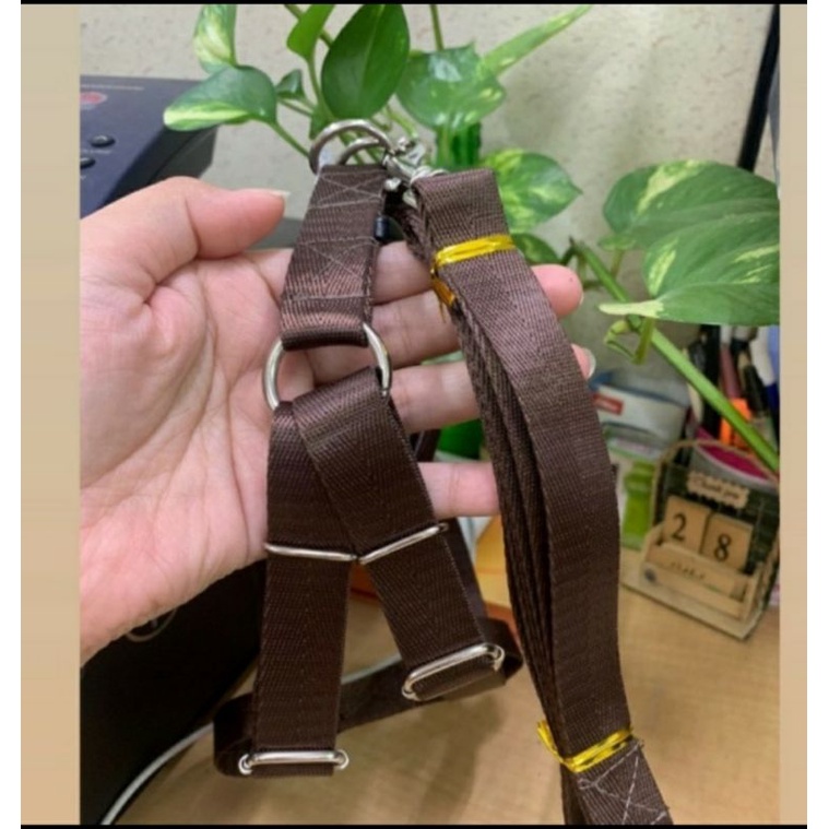 TALI JALAN ANJING/KUCING