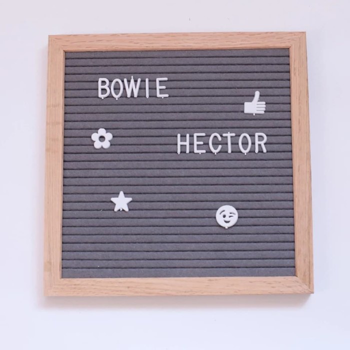 

TULIS-ALAT- CHANGABLE FELT LETTER BOARD 10’ / DIY FELT LETTER BOARD - BIRU -ALAT-TULIS.