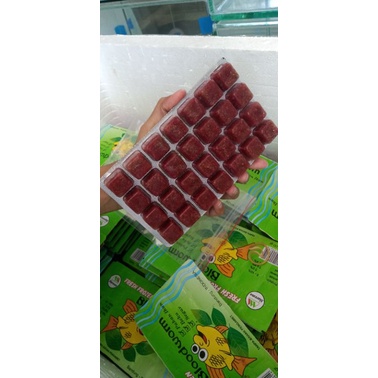 Cacing Beku Fres / Cacing Darah beku Bandung