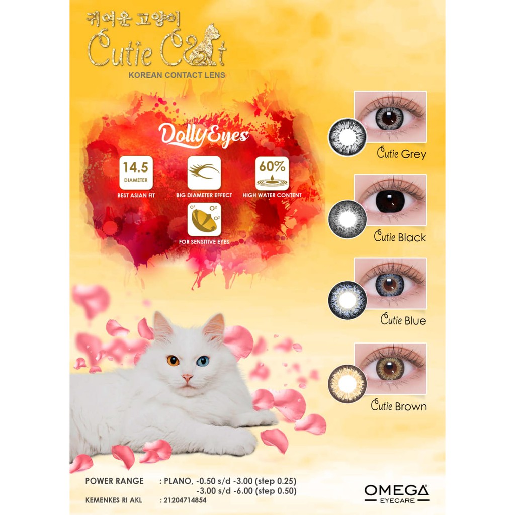 SOFTLENS CUTIE CAT