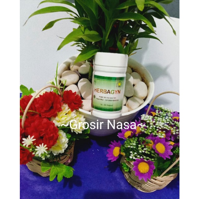Herbagyn Nasa untuk Kolesterol/herbal kolesterol/obat kolesterol nasa