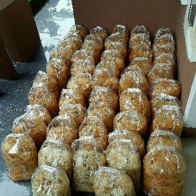 

Keripik kaca nikusa 1 kg, 1/2 kg, 3/4 kg, 1/4kg