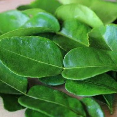

Daun Jeruk Purut/ 50gr