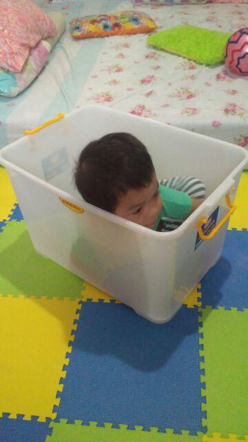 Box Container Caravan - Shinpo Cb 52