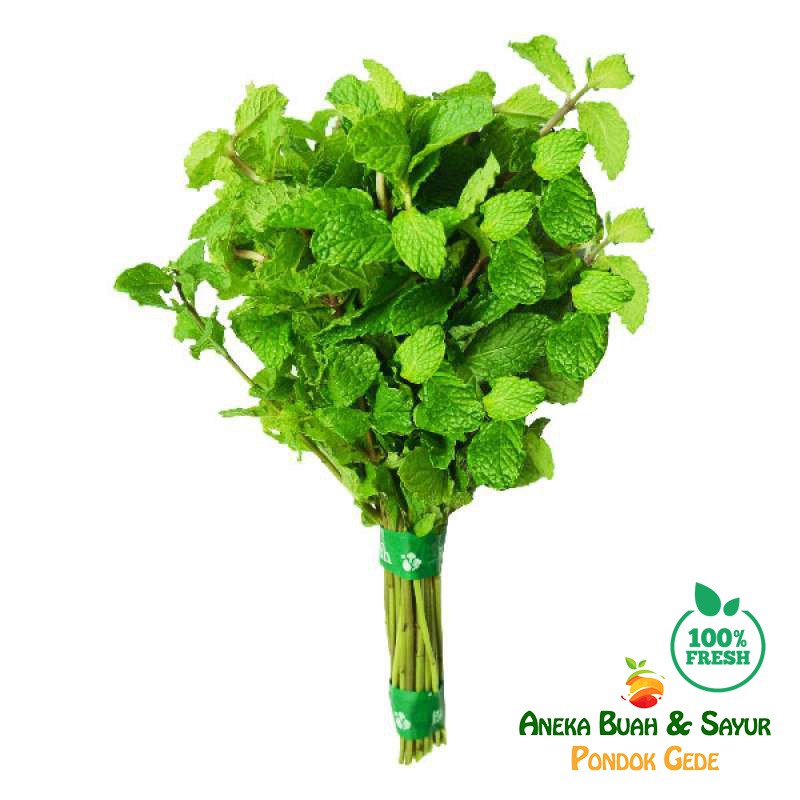 

Daun Mint Segar 500g