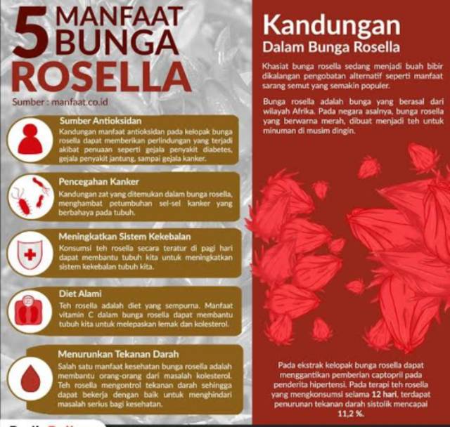 Teh Celup Bunga Rosella Minuman Herbal Rosella Tea Shopee Indonesia