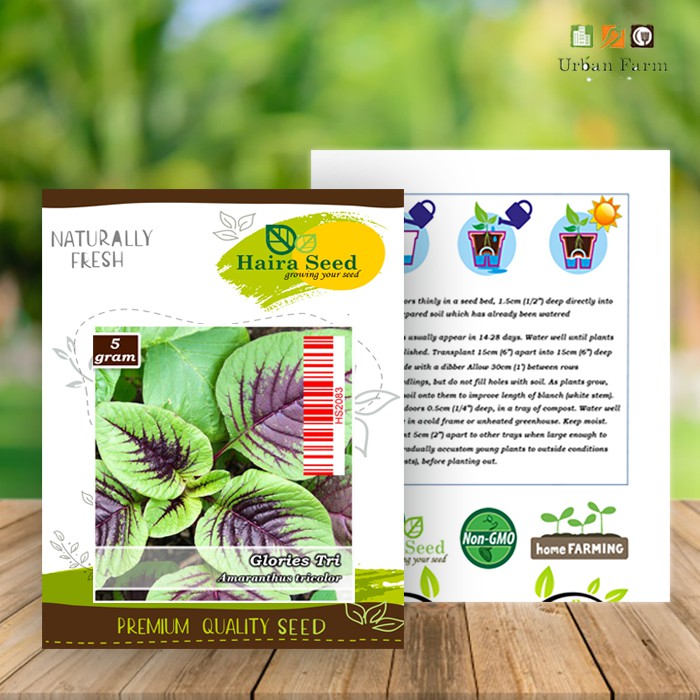 Benih-Bibit Bayam Batik Glories Tri (Haira Seed)