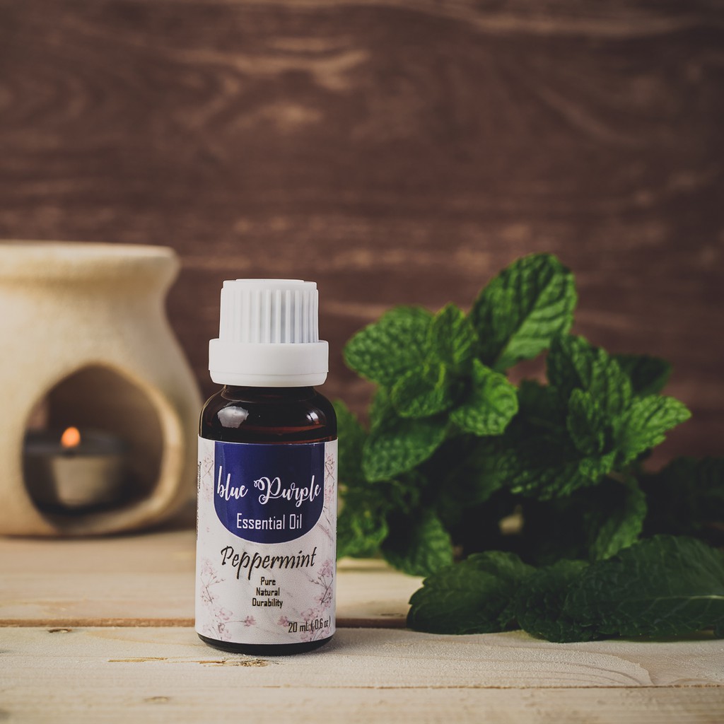 Bluepurple Peppermint Aromatherapy Essential Aromaterapi Pengharum  diffuser burner oil potpuri