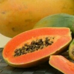 

Pepaya California Fresh per buah (I.2)