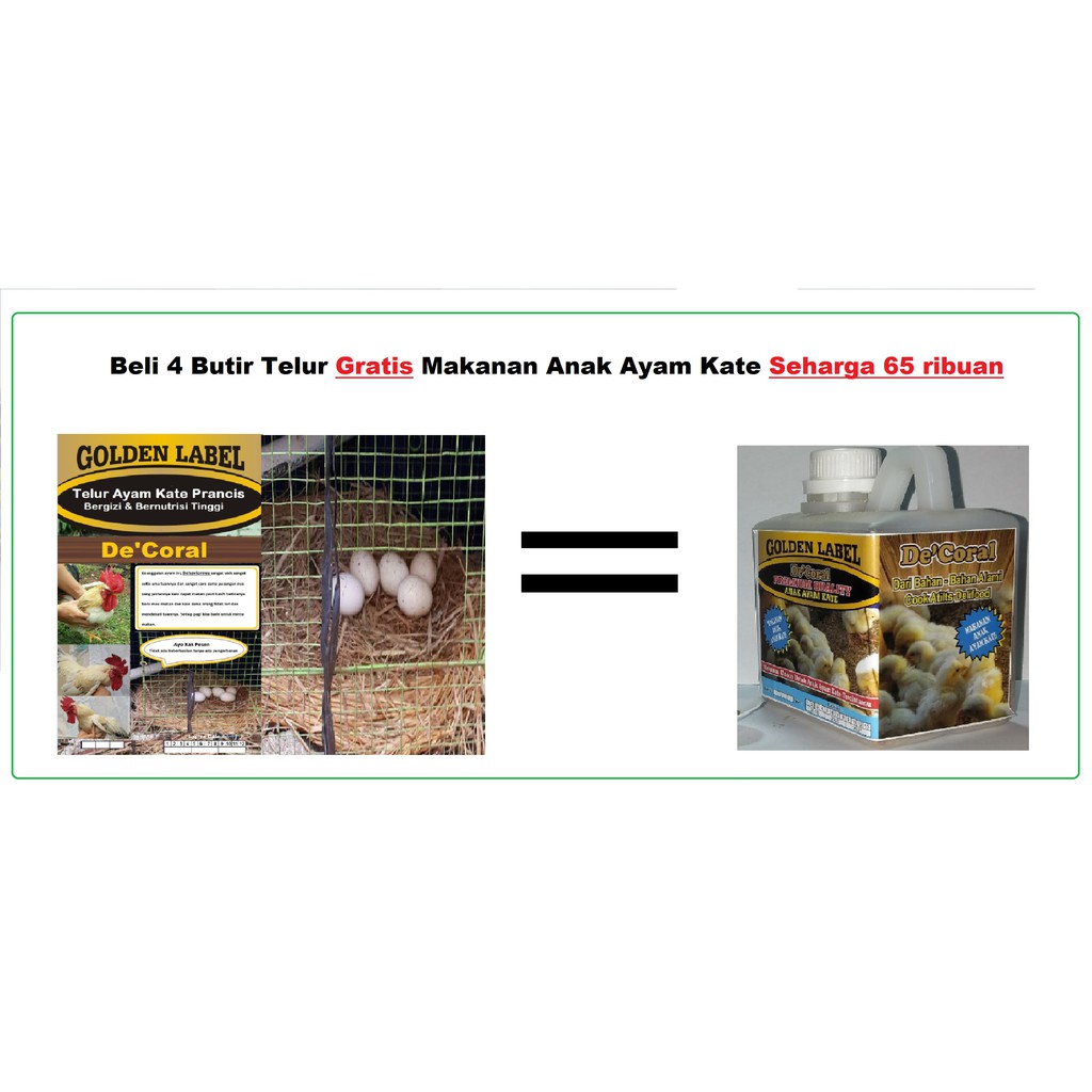 

Beli 4 Butir Telur Ayam Kate Prancis Gratis Makanan Anak Ayam Kate