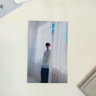 Gongbang gb Home Gorden Dino Seventeen