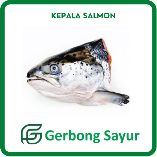 

Kepala Ikan Salmon 1 Pcs