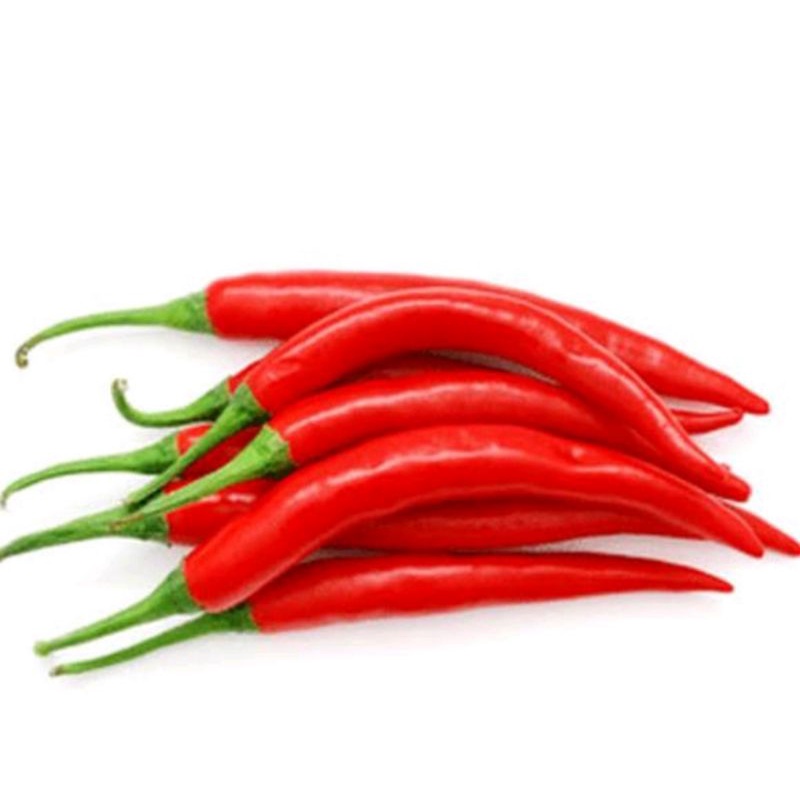 

Cabe Merah Besar Fresh