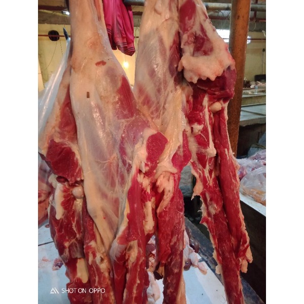 

daging domba muda paha dijamin fresh segar 500gr