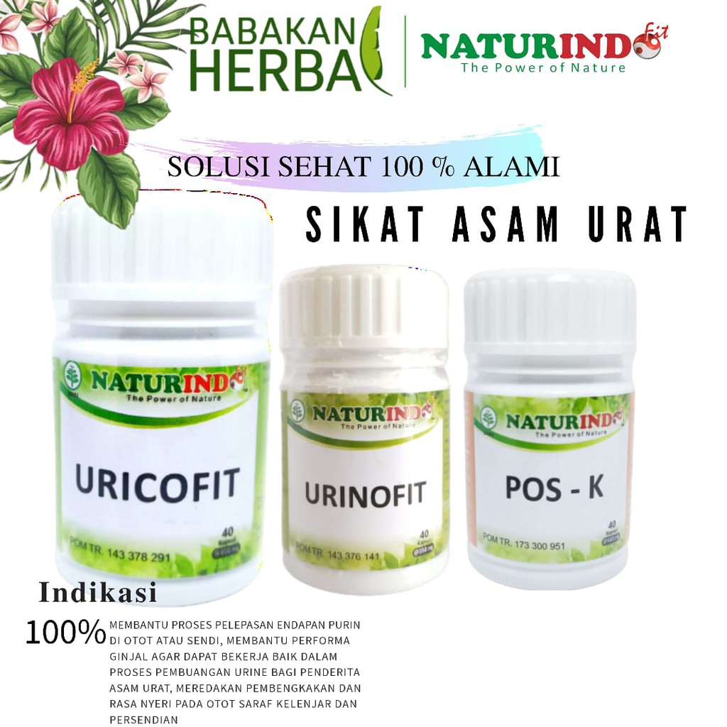 

PAKET RESEP OBAT HERBAL SOLUSI ALAMI ASAM URAT NATURINDO HERBAL