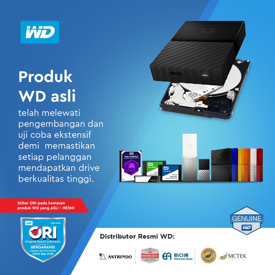 SSD WD Green 240GB M.2 2280 ORI - SSD M2