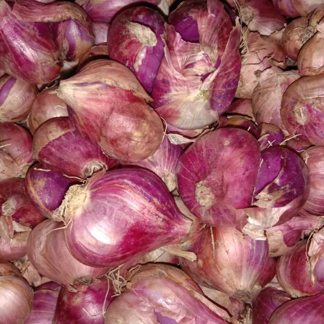 

BAWANG MERAH SUPER
