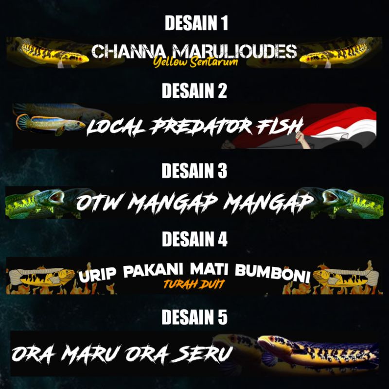 STICKER LIST AQUARIUM CHANNA PREDATOR