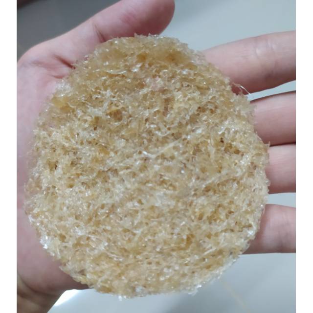 

Sarang walet bersih hancur (MINIMAL 5 gram)
