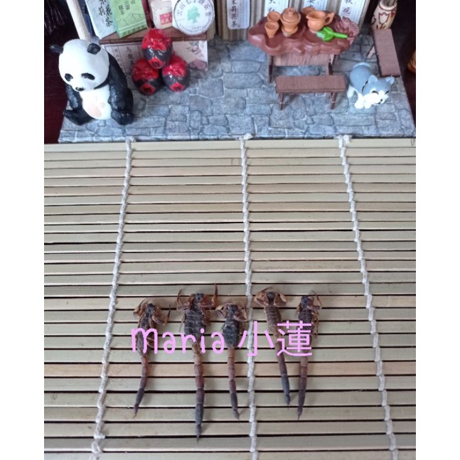 

Quan Xie / Kalajengking Kering