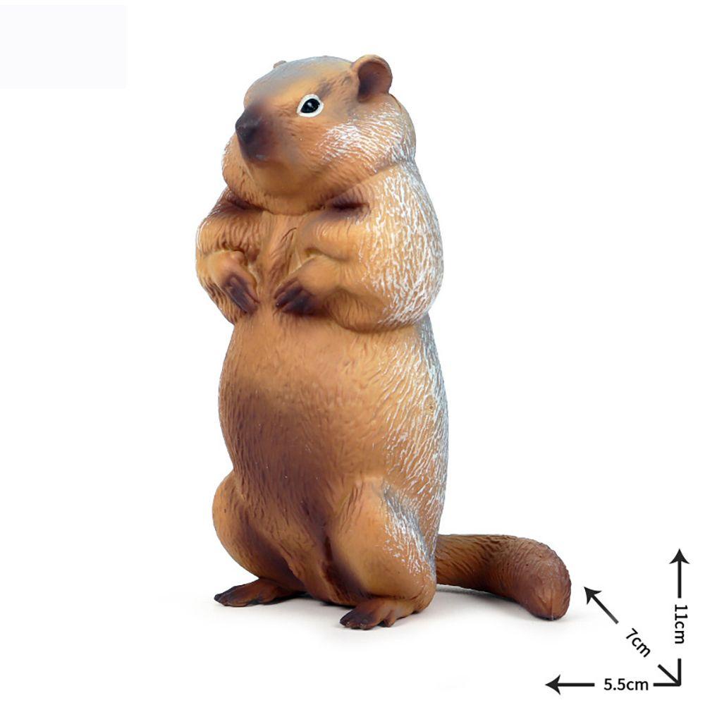 R-flower Mainan Simulasi Marmot Realistis Untuk Edukasi Dini Anak