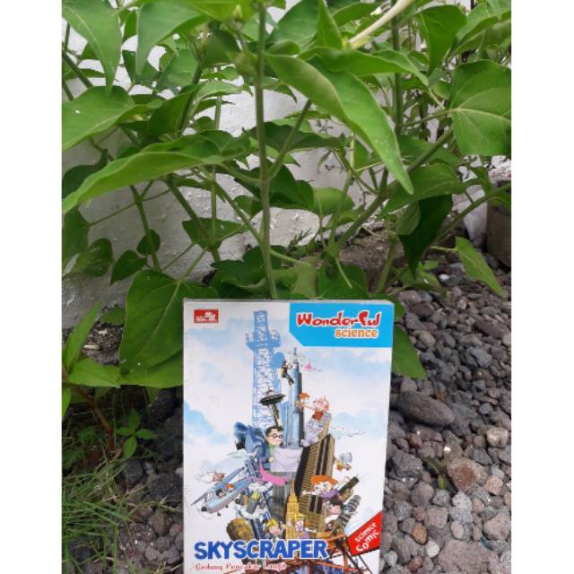 buku anak scient comic skyscraper (gedung pencakar langit)