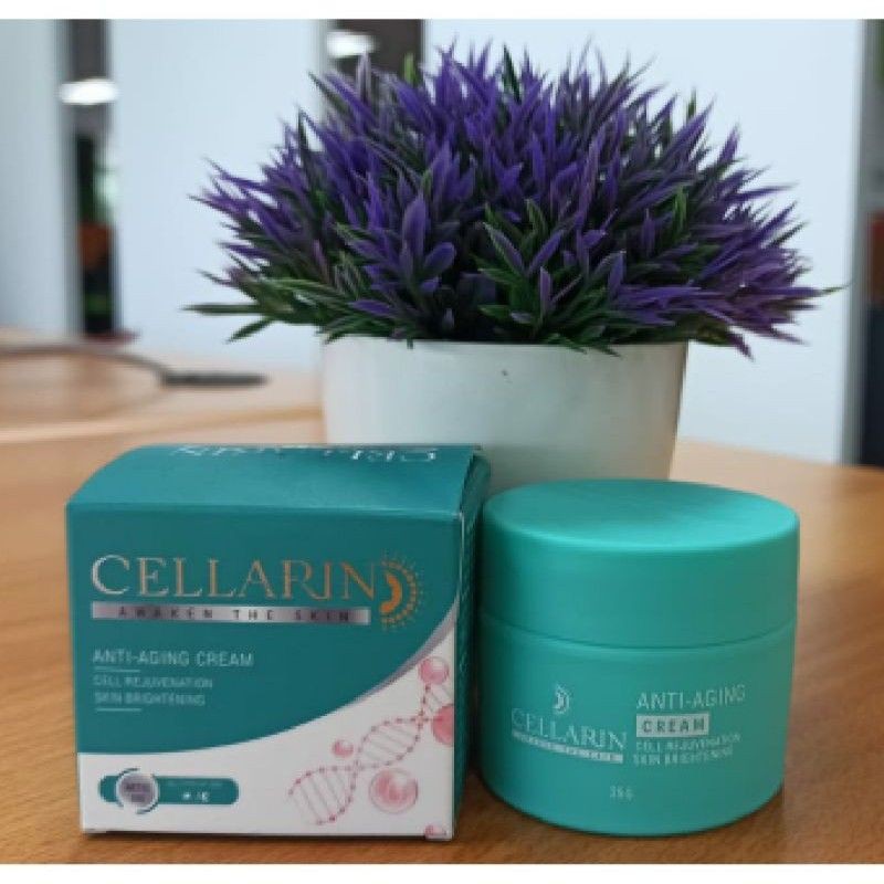 Everlift cream 25 ml original