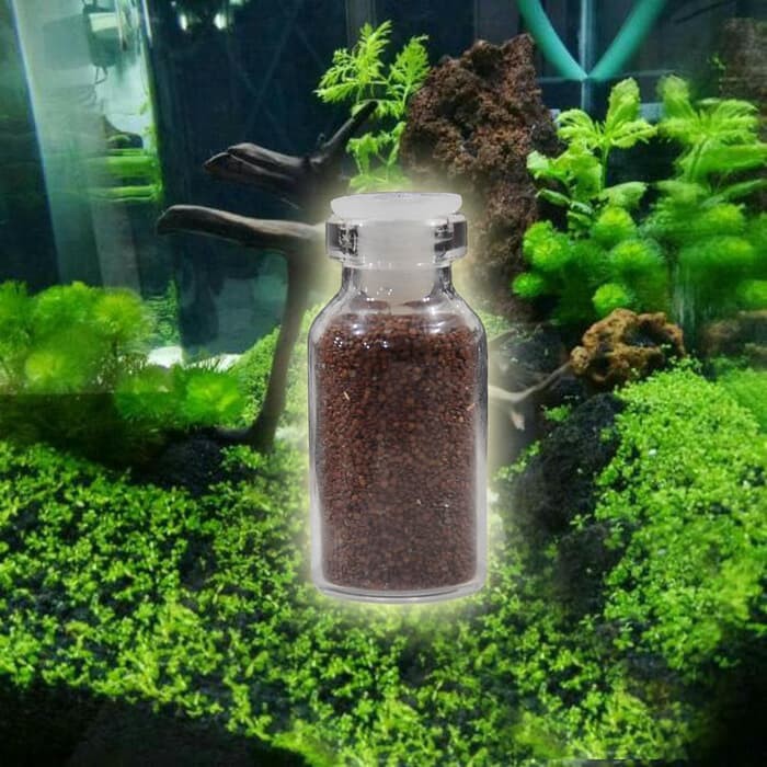 Tanaman Aquascape Micranthemum Sp Montecarlo Di Cup Shopee Indonesia