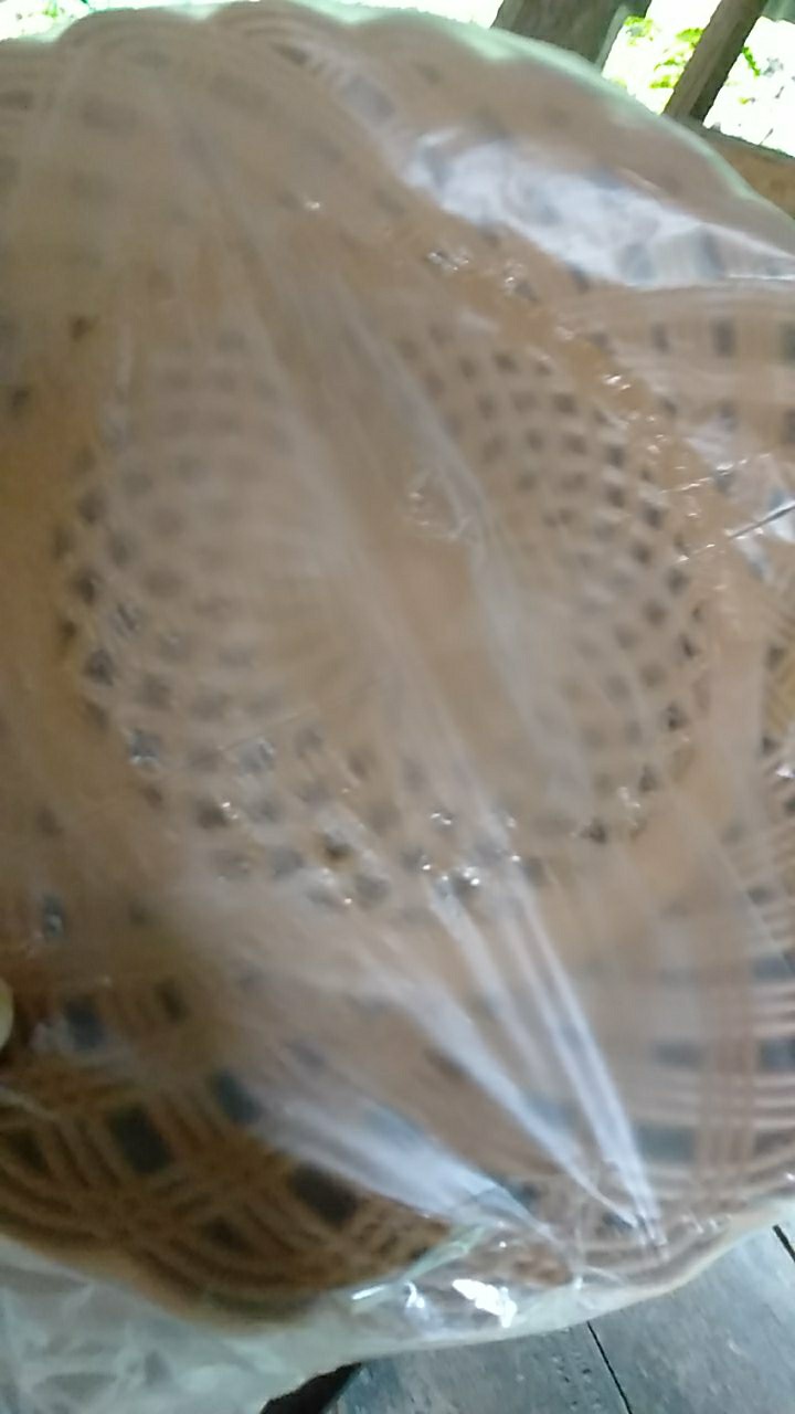 B-123 Piring Rotan Plastik Lusinan Isi 12 Pcs Per Lusin Bq