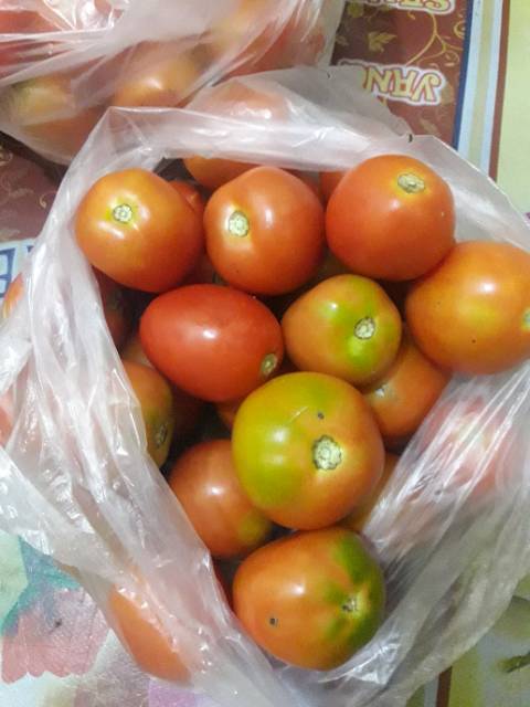 

Tomat Fresh 1000 Gram