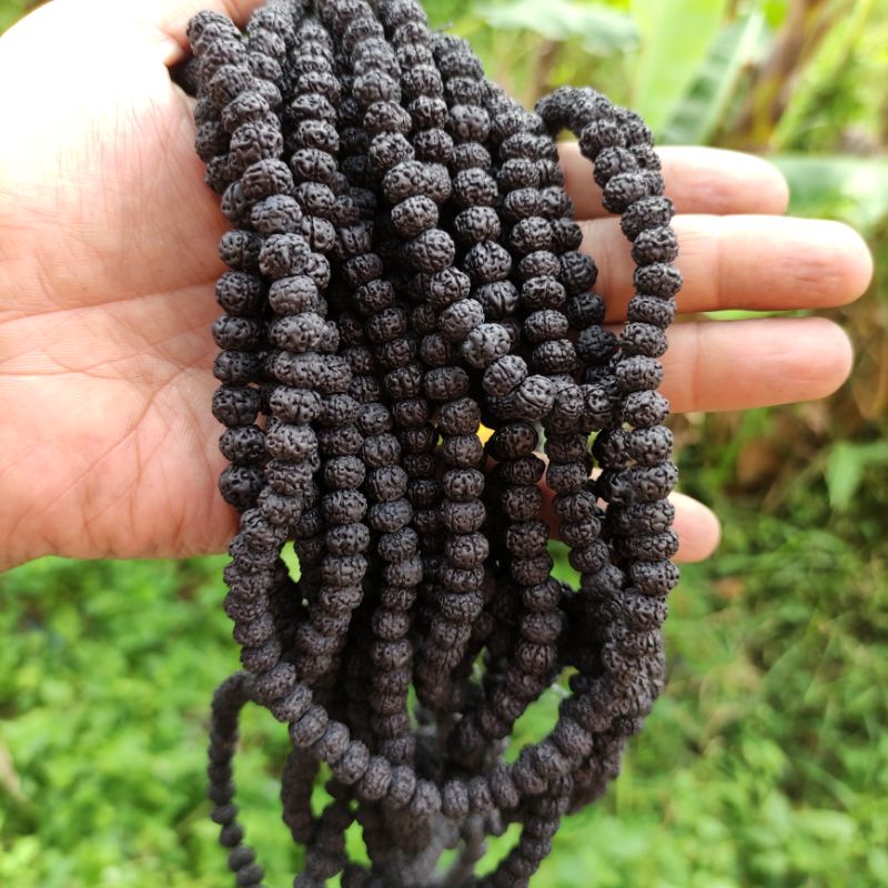 JENITRI RUDRAKSHA HITAM  108/99