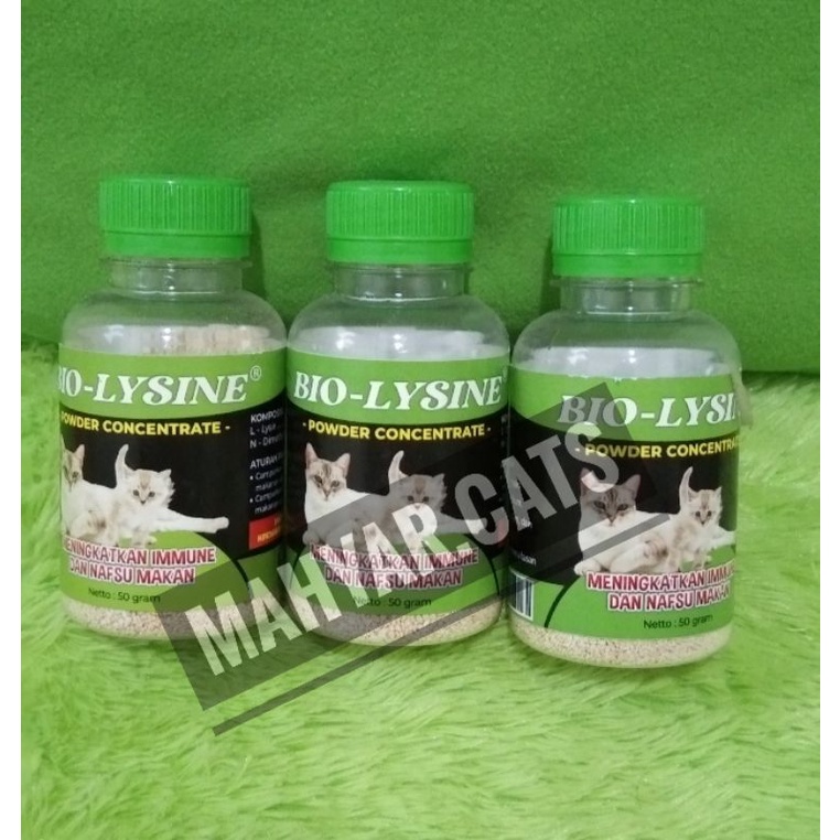 BIO LYSINE 50GR | Vitamin Kucing | vitamin nafsu Makan Penggemuk Badan