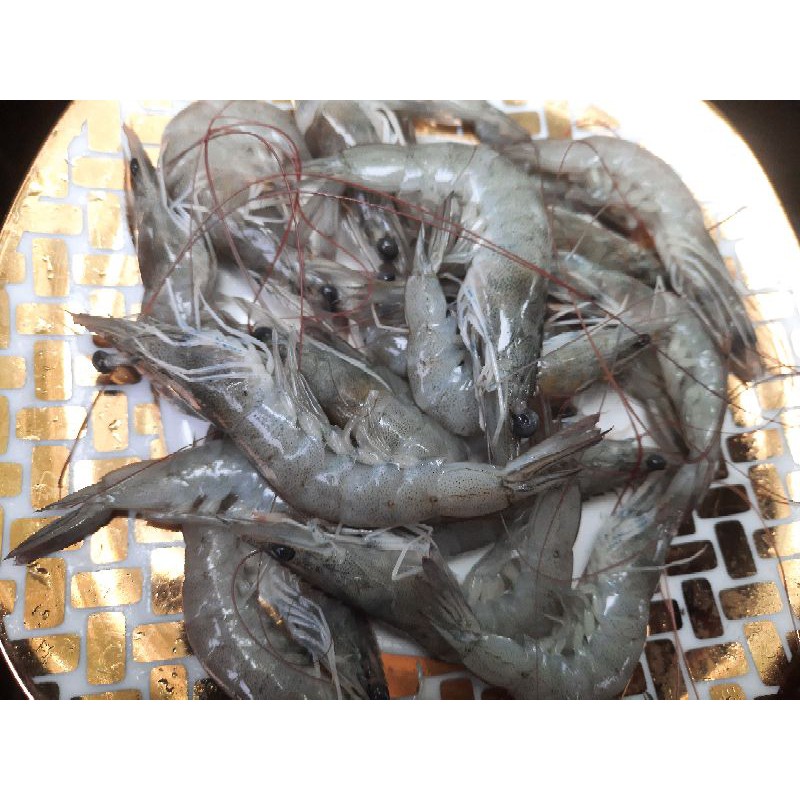 

udang segar udang vaname kecil