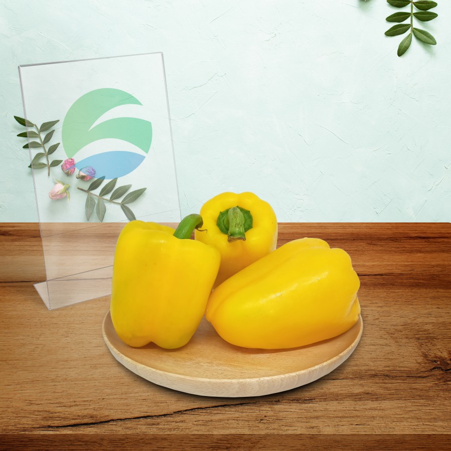 

Yellow Pepper | Yellow Capsicum | Cabai Paprika Kuning [ 150 gr | 1 Pcs ]