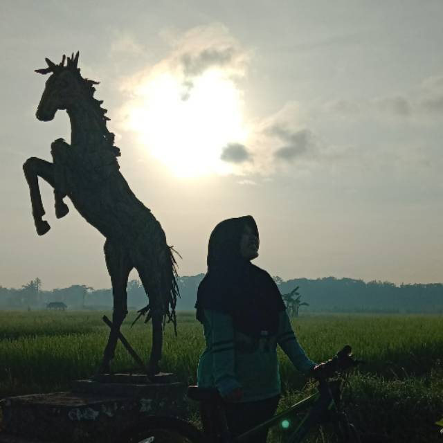 meylindapuspitasari23