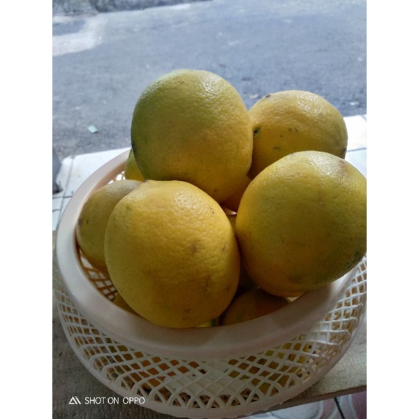 

Lemon California Lokal 1 Kg