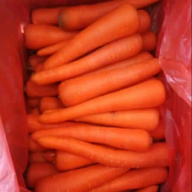 

WORTEL IMPORT BERASTAGIH