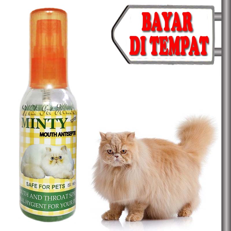 Obat Bau Mulut Sariawan Kucing Semprot Minty