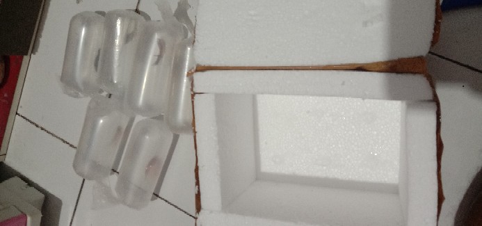 Packing Tambahan Ekstra