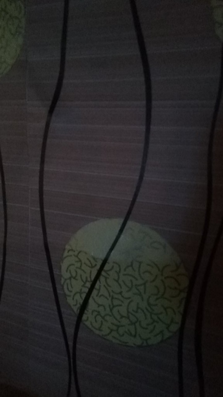 Wallpaper Dinding Dandelion Coklat 3d Elegant Walpaper 45cm X 10m