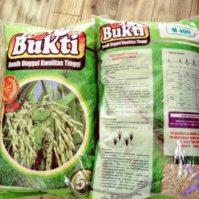 Benih Padi M400 Kualitas Terbaik