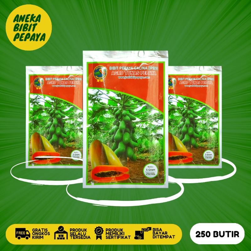 Bibit Pepaya Calina Ipb9 Kemasan 5 Gram Cv. Agro Tunas Pepaya