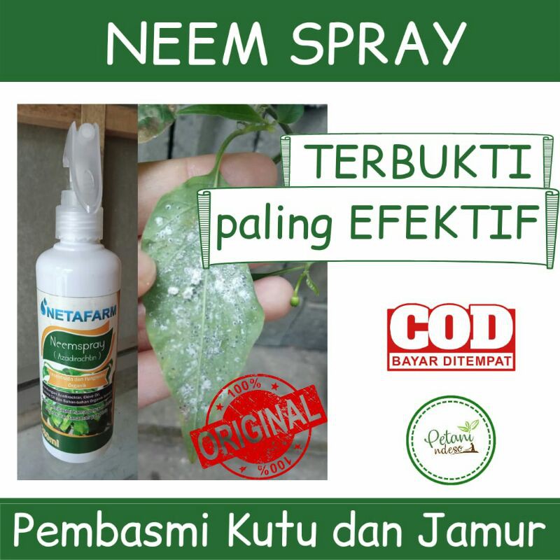 Neem Oil Spray Minyak Daun Mimba Obat Anti Hama Kutu Tanaman Pestisida Insektisida Fungisida Organik