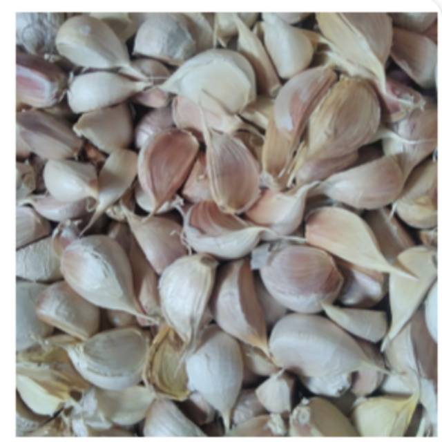 

Bawang putih kating 250gr