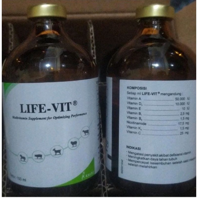 LIFE-VIT INJEKSI 100 ML, VITAMIN B COMPLEK + VITAMIN C