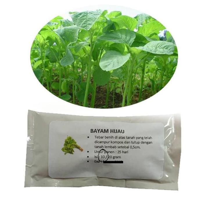 

Open Ds] Bayam Hijau – 10Gram