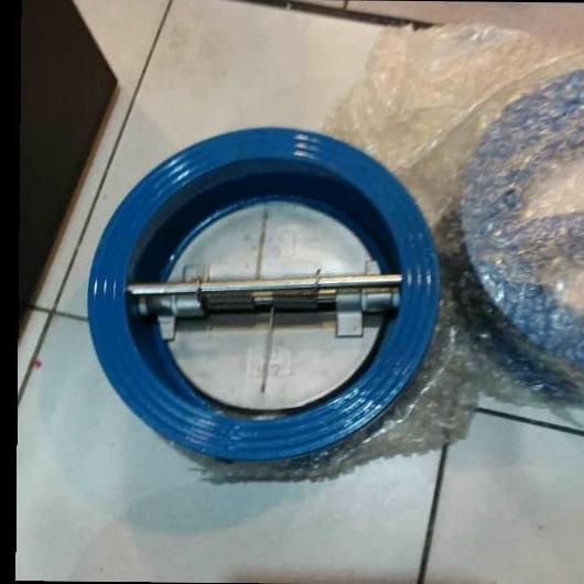 

Wafer Check Valve Ci Disc 304 6