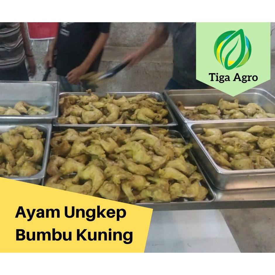 

AYAM UNGKEP BUMBU KUNING AYAM GORENG AYAM PENYET AYAM GEPUK PECEL LELE