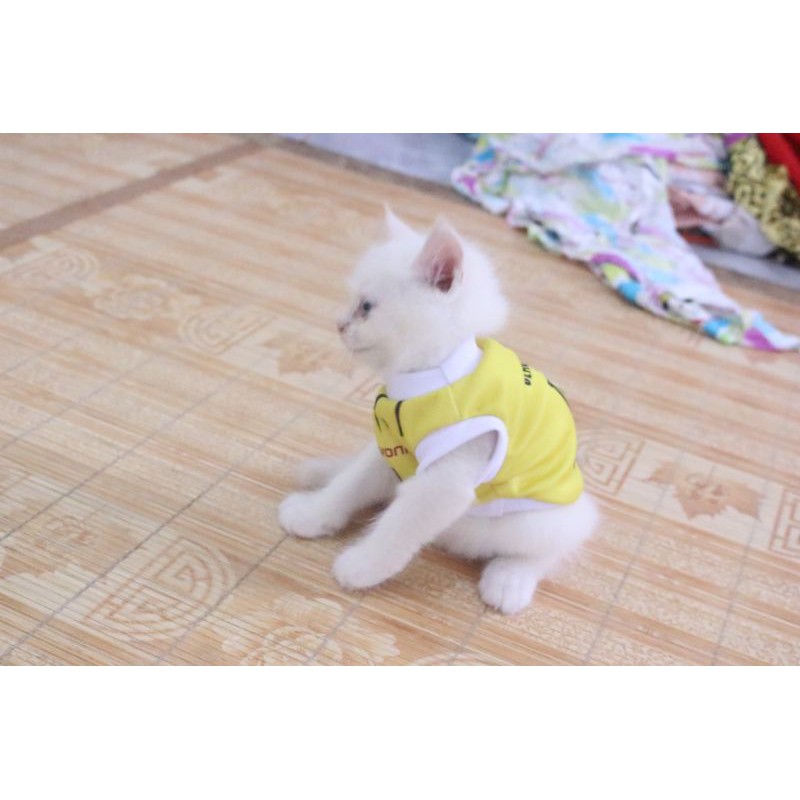 Baju jersey bola dortmond kuning untuk kucing dan anjing / baju kucing murah size S M L XL